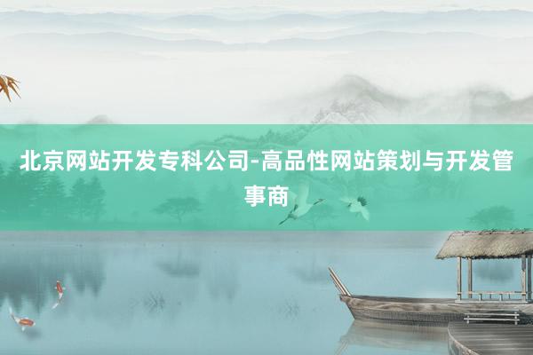 北京网站开发专科公司-高品性网站策划与开发管事商
